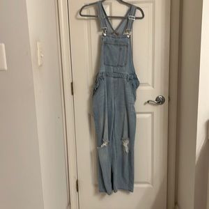 Target Wild Fable Overalls